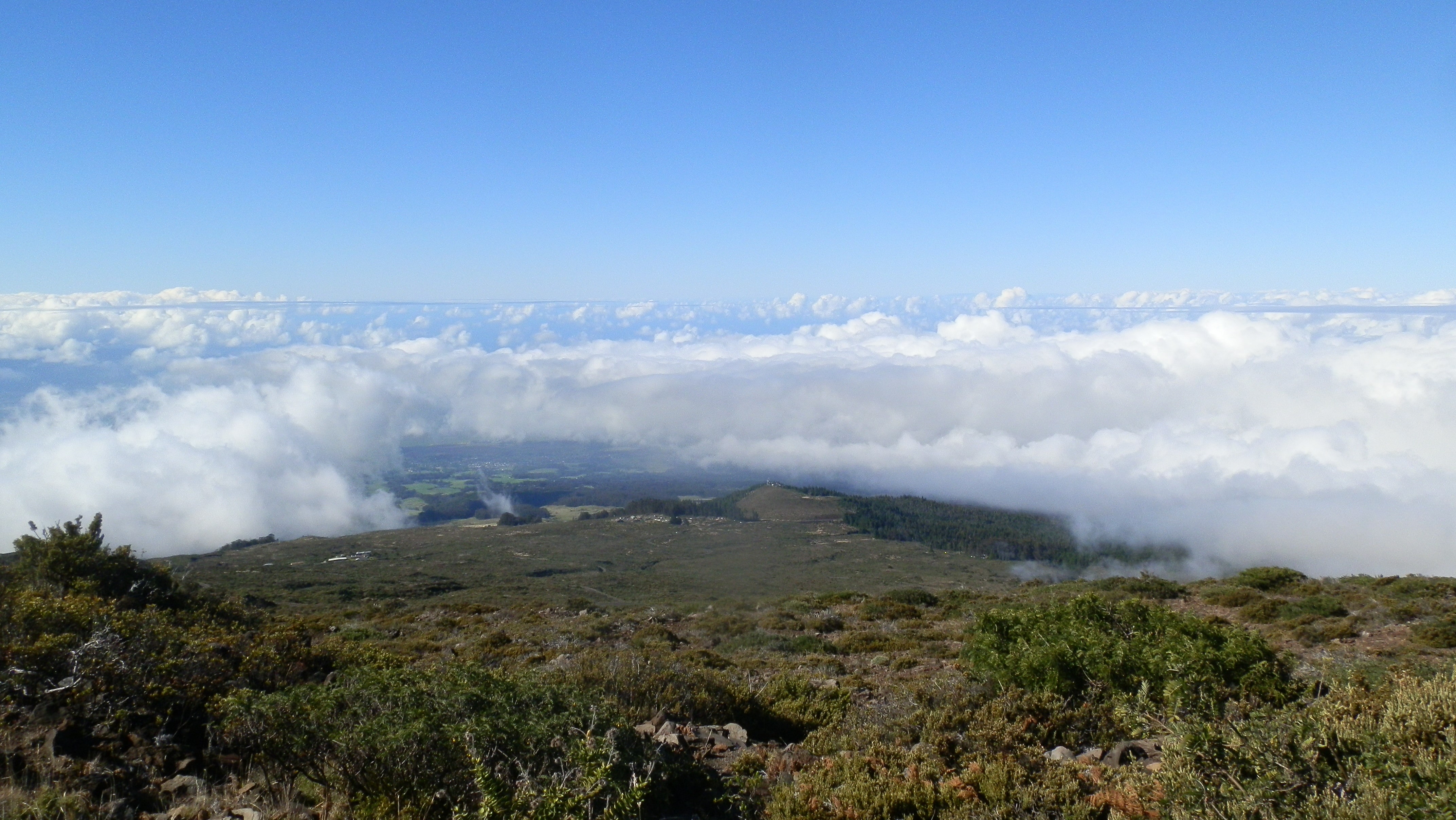 View above clouds from halfway up Haleakalā