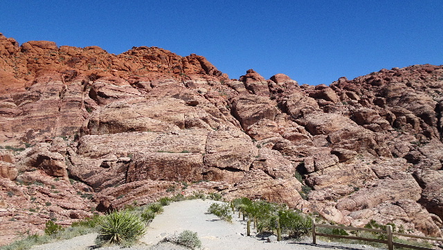 Trail leading to Calico Rocks, Red Rock Canyon, Nevada