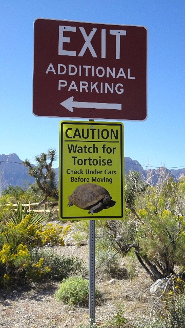 Car ark sign cautioning about desert tortoises