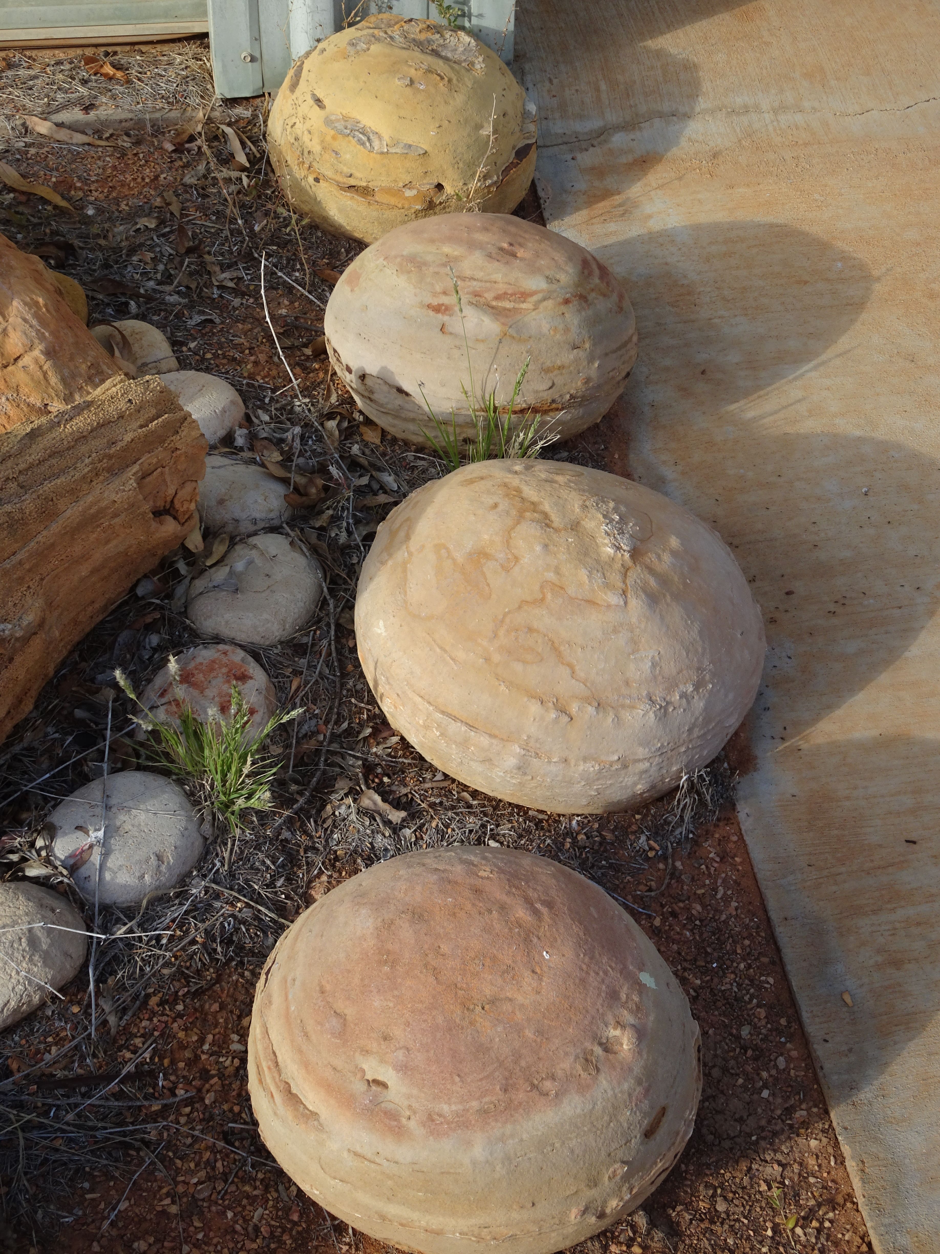 Circular fossilised stones in garden