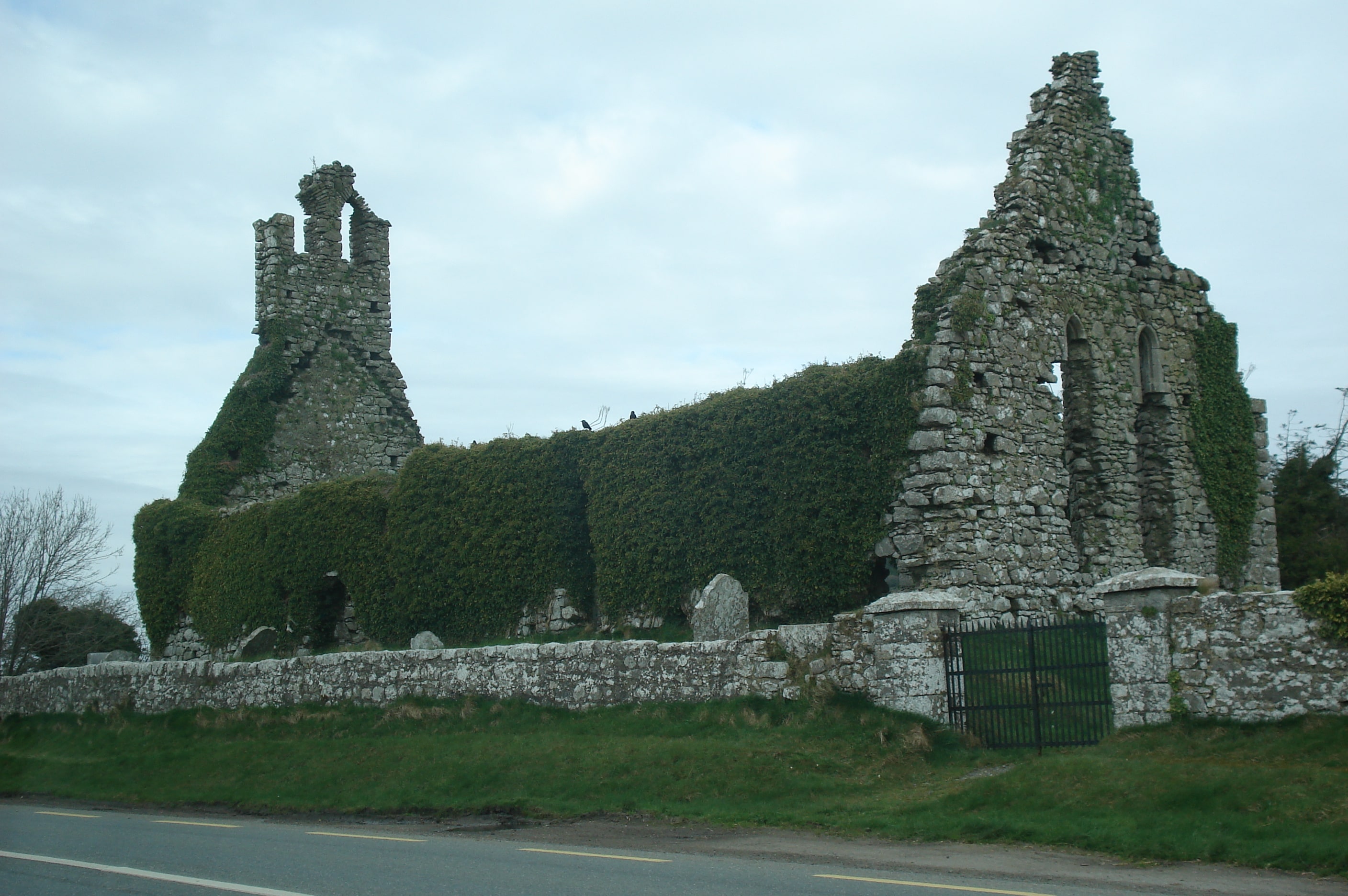 Ruins of medieval Clonmantagh Church