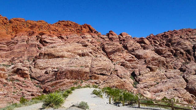 Trail leading to Calico Rocks, Red Rock Canyon, Nevada