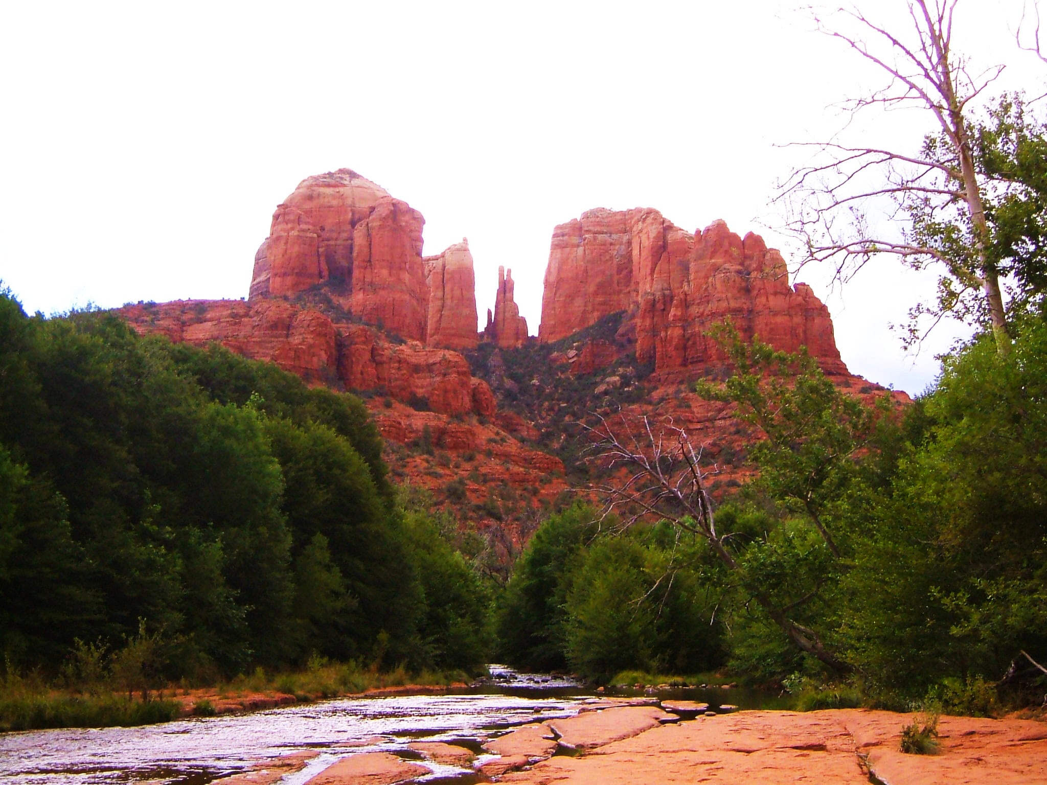 Cathedral Rock formation & Oak Creek Canyon in Sedona, Arizona, USA