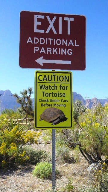 Car ark sign cautioning about desert tortoises