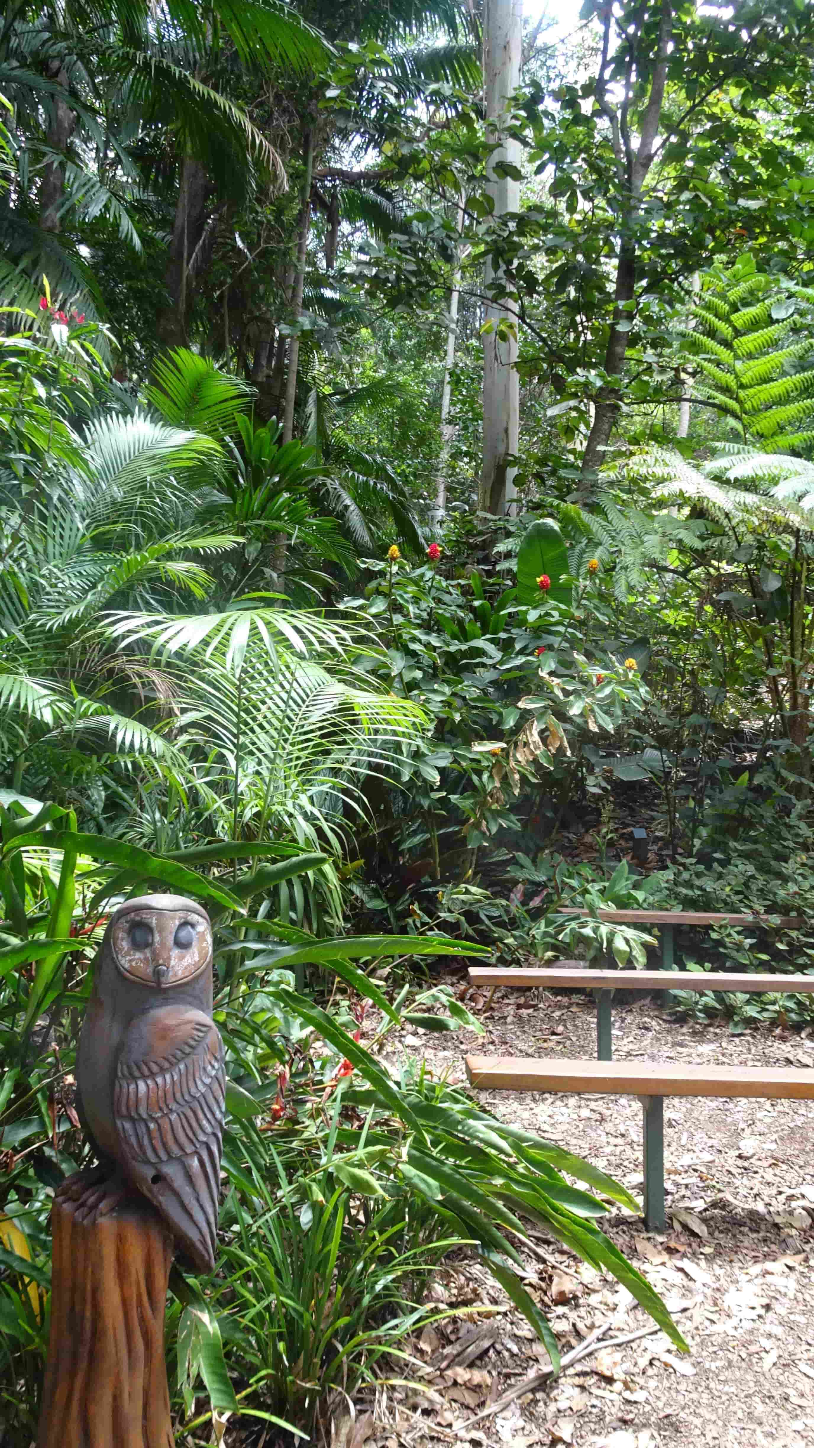 Owl statue in foreground of rainforest setting 