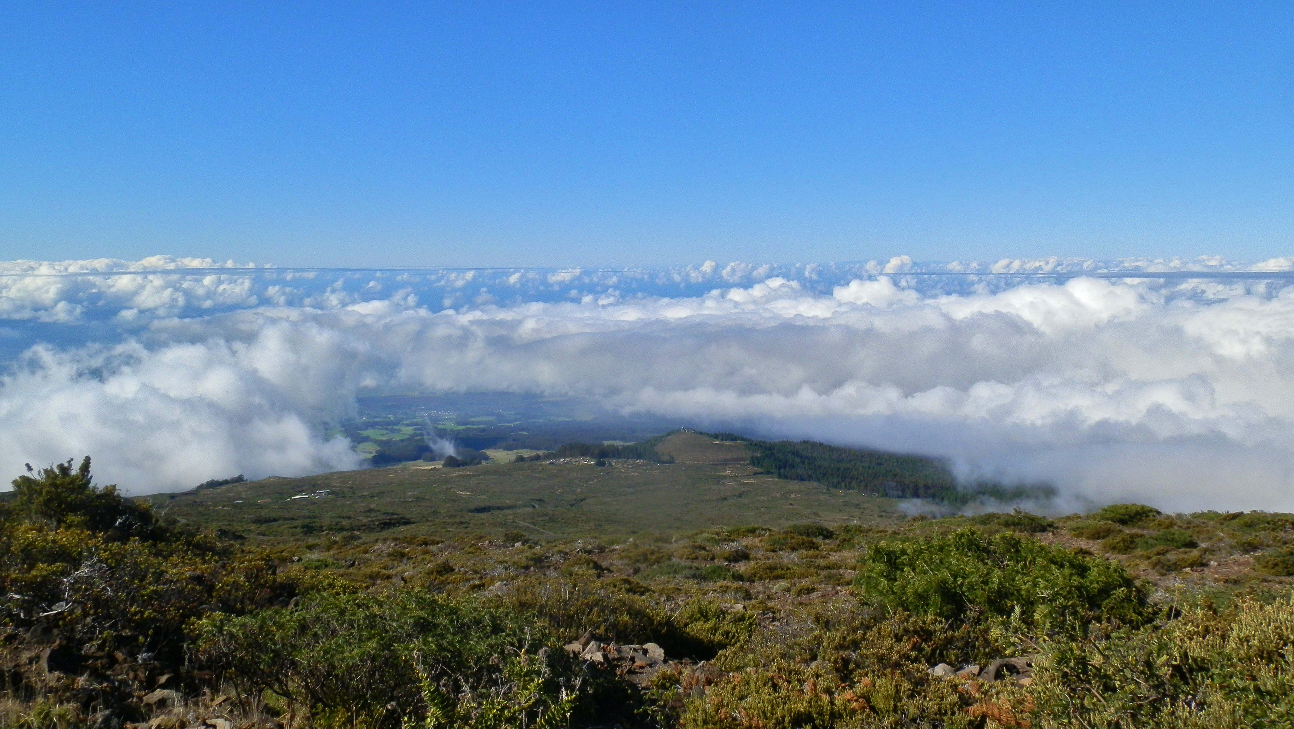 View above clouds from halfway up Haleakalā
