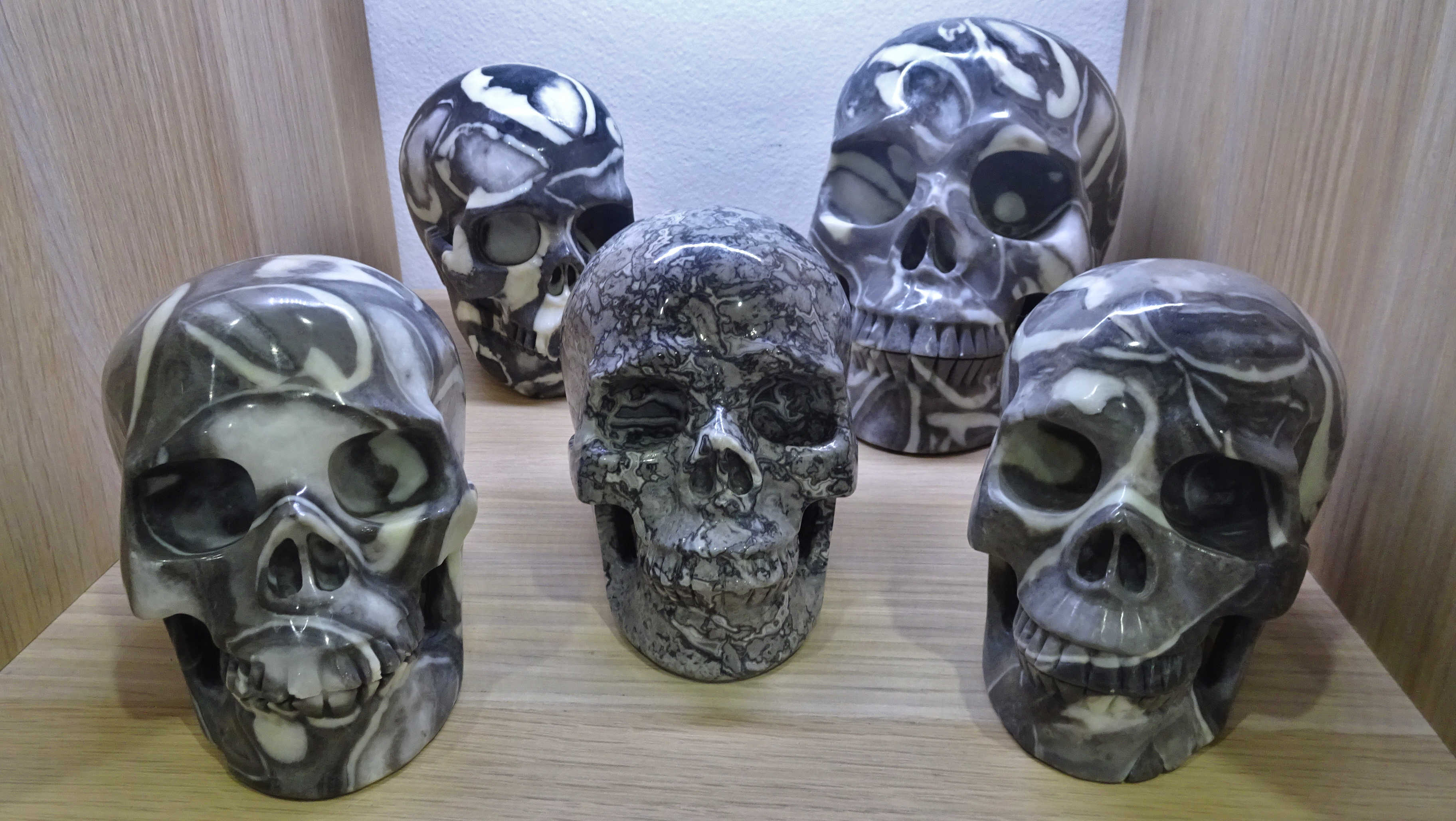 Collection of black marine fossil & black crazy lace agate carved crystal skulls