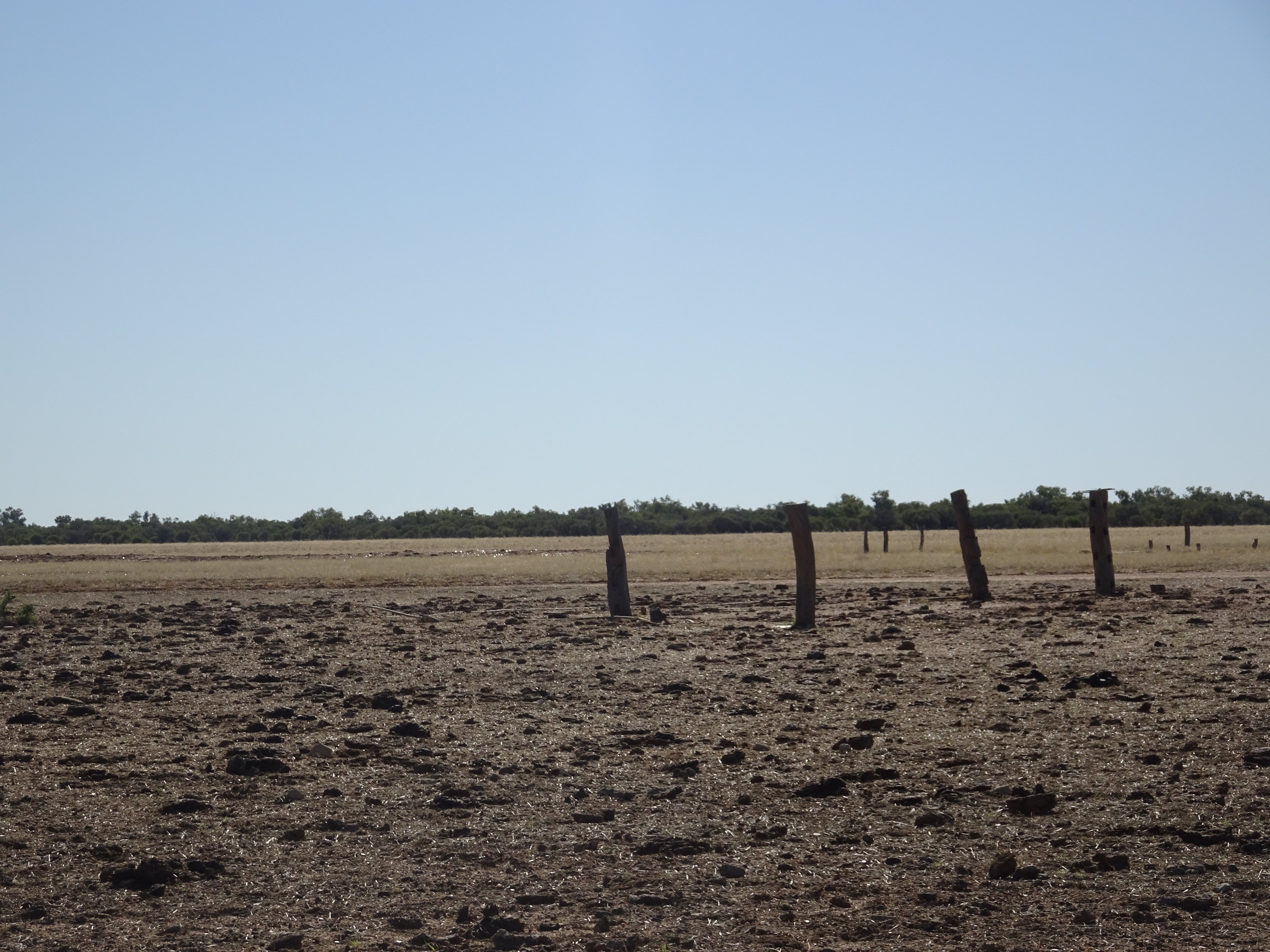 Remaining stumps from ruins of Min Min Hotel