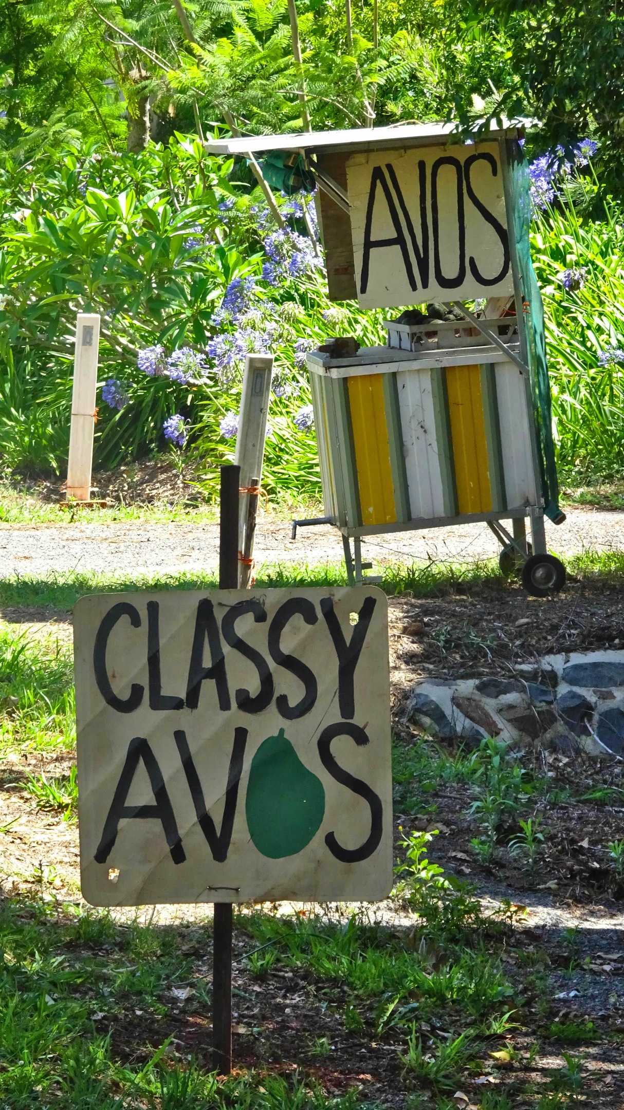 Roadside avocado stands & signs with one advertising "Classy Avos"