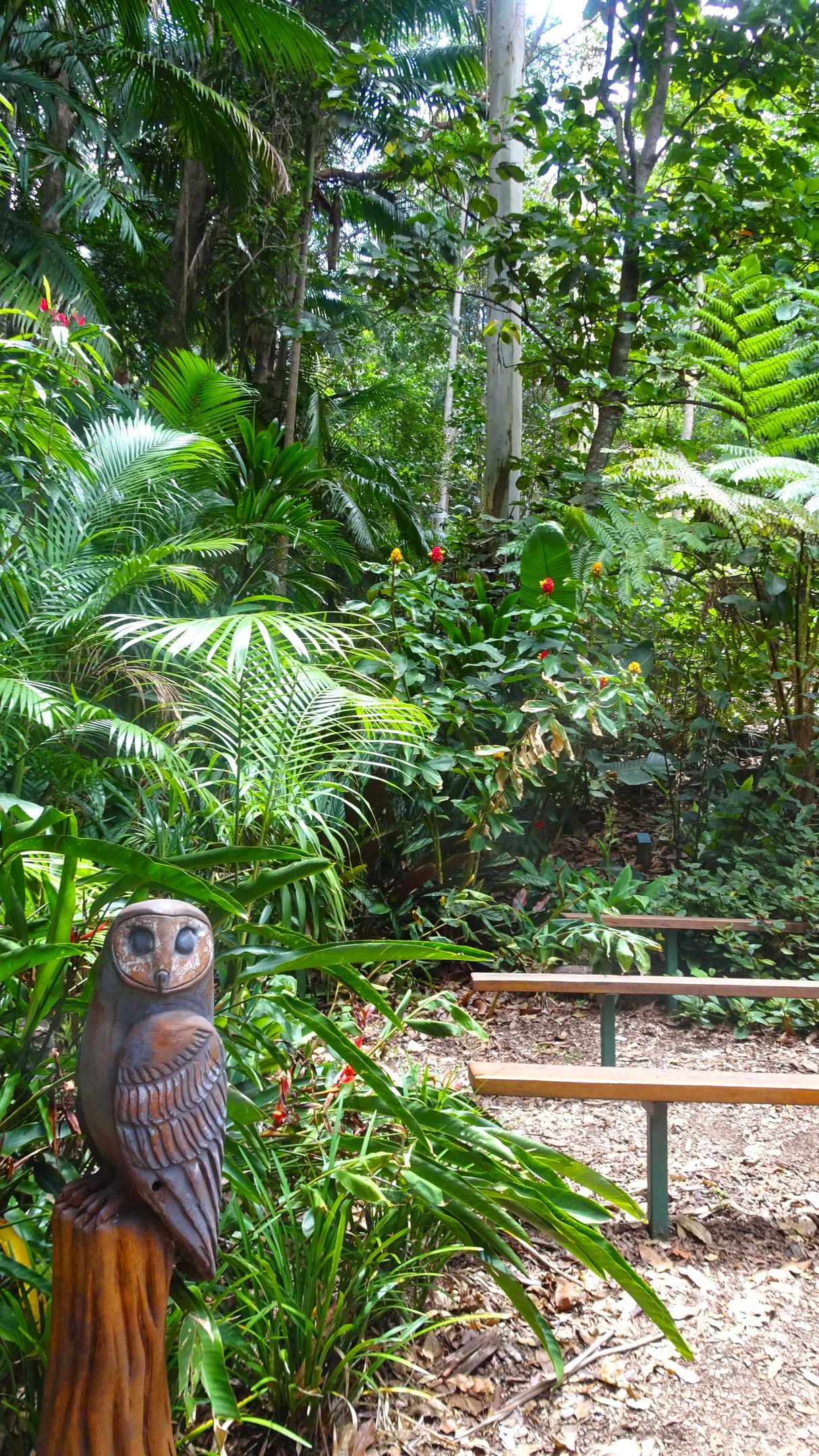 Owl statue in foreground of rainforest setting 