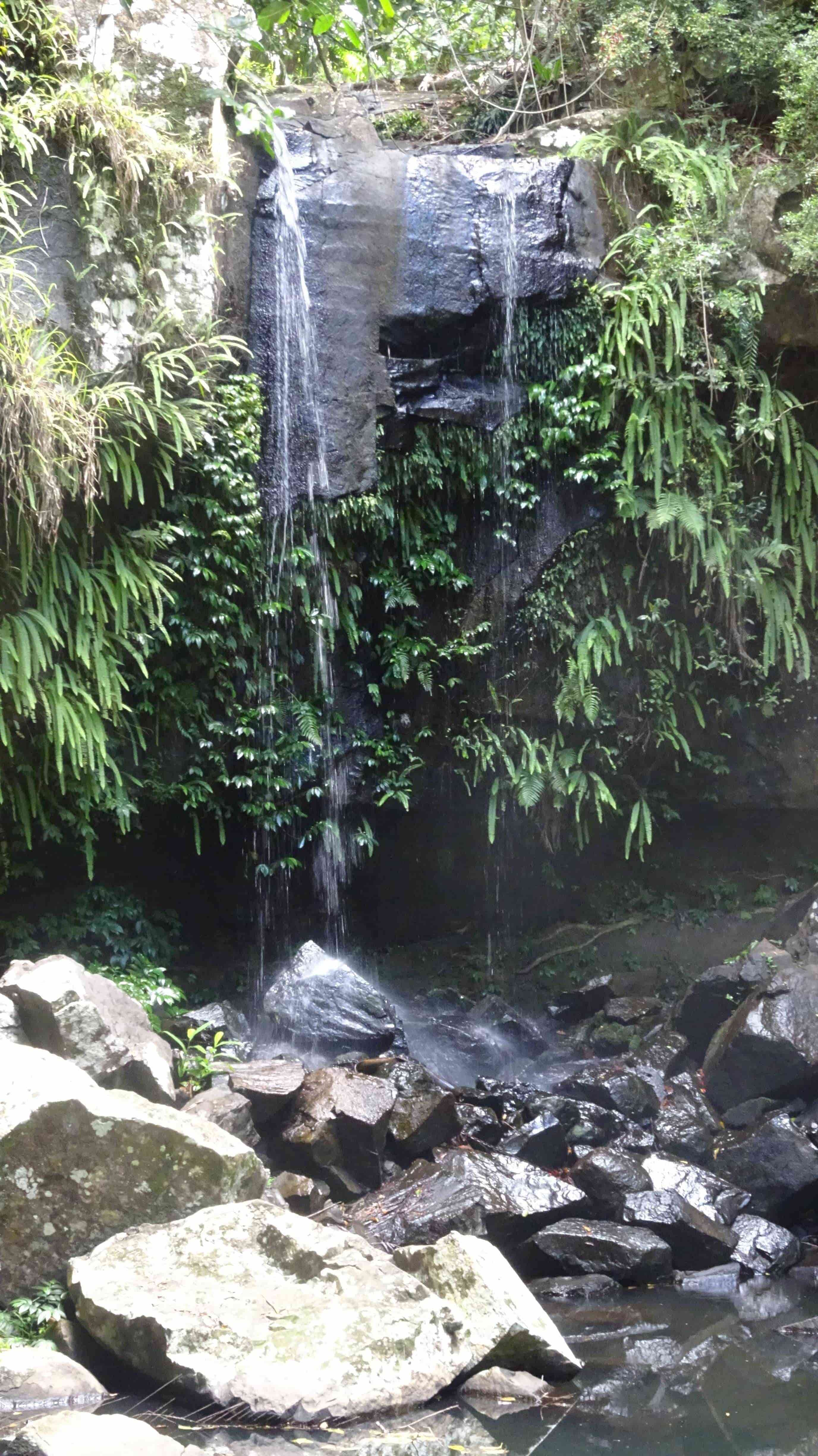 Trickling waterfalls at Curtis Falls